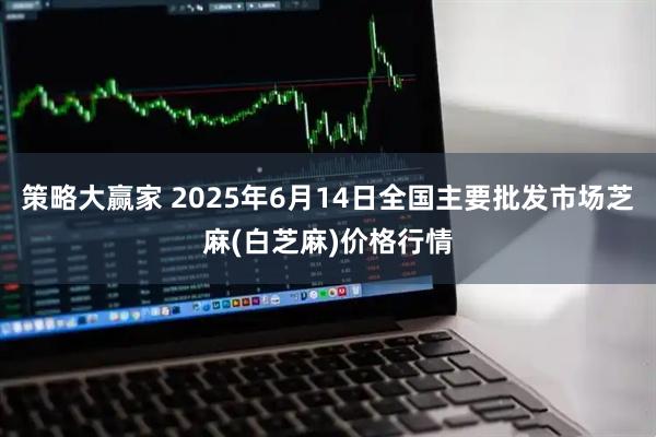策略大赢家 2025年6月14日全国主要批发市场芝麻(白芝麻)价格行情