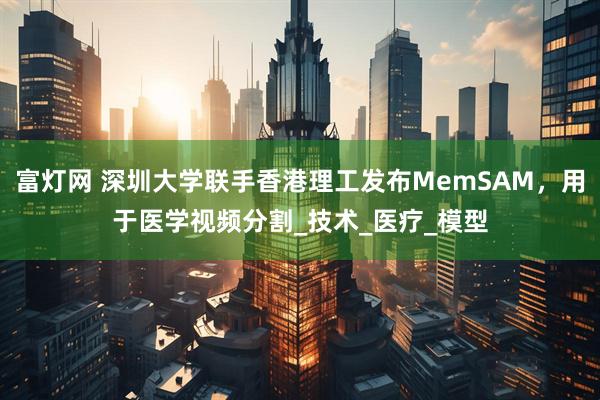 富灯网 深圳大学联手香港理工发布MemSAM，用于医学视频分割_技术_医疗_模型