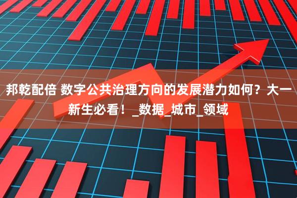 邦乾配倍 数字公共治理方向的发展潜力如何？大一新生必看！_数据_城市_领域